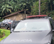 PCPR deflagra operação de combate a crimes ambientais na zona rural de São José dos Pinhais
