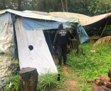 PCPR deflagra operação de combate a crimes ambientais na zona rural de São José dos Pinhais