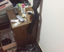 PCPR deflagra operação de combate a crimes ambientais na zona rural de São José dos Pinhais