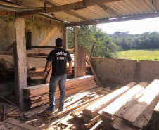 PCPR prende empresário por crime ambiental na RMC