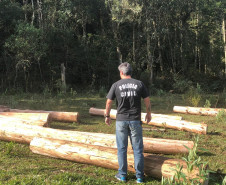 PCPR prende empresário por crime ambiental na RMC