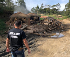 PCPR prende proprietário de carvoaria clandestina na RMC