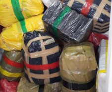 PCPR prende homem que abandonou caminhão carregado com duas toneladas de maconha