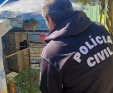 PCPR prende três pessoas por cometerem crimes ambientais na Capital