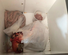 PCPR apreende cerca de 300 quilos de carne em Tamarana