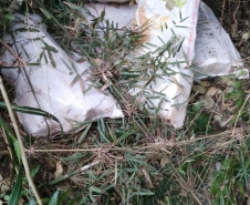 PCPR apreende 211 quilos de maconha em Cascavel