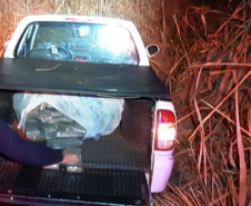 PCPR apreende 90 quilos de maconha em Santa Terezinha de Itaipu