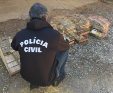 PCPR recupera seis aves silvestres em cativeiro