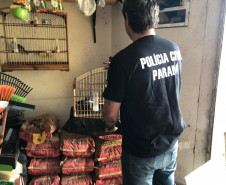 PCPR prende dois suspeitos de crimes ambientais em Curitiba e RMC