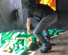 PCPR incinera 3,2 toneladas de drogas em Santa Terezinha do Itaipu.