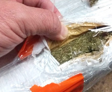 PCPR apreende cerca de 7,7 toneladas de maconha em quatro dias