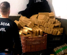 Inteligência e integração das polícias tiram 80 toneladas de drogas das ruas