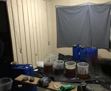 PCPR apreende drogas e equipamentos avaliados em R$ 2 milhões em Curitiba e na RMC