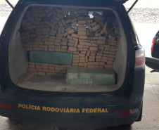 PCPR apreende 523 quilos de maconha durante ação conjunta em São Paulo 