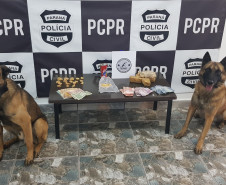 PCPR deflagra operação e apreende drogas com o apoio de cães farejadores