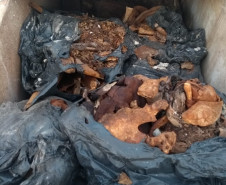 Operação da PCPR prende 13 pessoas suspeitas de vender terrenos de cemitério em Ibiporã