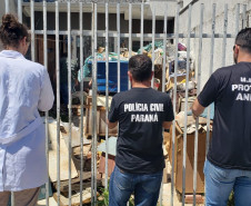 PCPR realizou ações em combate aos maus-tratos e crimes ambientais