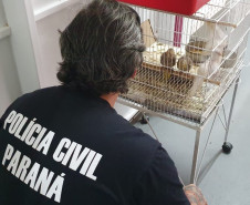 PCPR realizou ações em combate aos maus-tratos e crimes ambientais