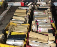 PCPR apreende 1,2 tonelada de maconha em Foz do Iguaçu