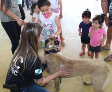 PCPR leva serviços e informação ao Paraná Cidadão em Colombo
