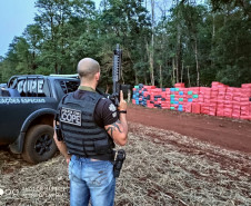 PCPR apreende mais de 400 mil maços de cigarros em operação da PF no Oeste do Estado