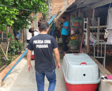 PCPR fecha canil clandestino e resgata animais em situação de maus-tratos na RMC