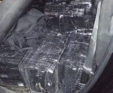 PCPR prende suspeitos com 267 quilos de maconha em Santa Catarina
