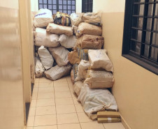 PCPR apreende 1,3 tonelada de maconha em MS
