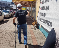 PCPR participa de seminário com cães voltado a busca de pessoas através de odor específico