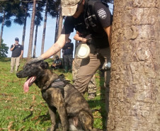 PCPR participa de seminário com cães voltado a busca de pessoas através de odor específico