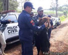 PCPR participa de seminário com cães voltado a busca de pessoas através de odor específico