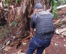 PCPR deflagra operação para cumprir 28 mandados judiciais no Oeste do Estado