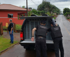 PCPR deflagra operação para cumprir 28 mandados judiciais no Oeste do Estado