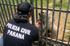 Policial brinca com cães por entre as grades de um portão