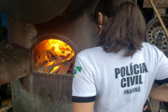 Policial civil observa drogas sendo incineradas