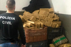 Policial civil em frente à dezenas de tabletes de drogas