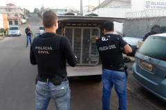 Policiais civis em pé, ao lado de viatura com suspeito em seu interior