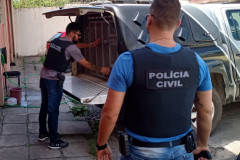 Dois policiais civis em pé, no momento em que retiram suspeito de viatura