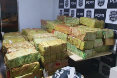 Apreensão de 3,1 toneladas de maconha