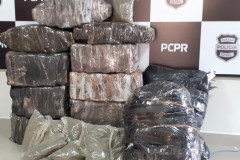 Apreensão de drogas.