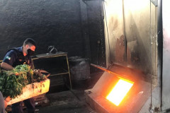 Policiais civis e guardas municipais incineram cerca de 400 quilos de maconha em Quatro Barras