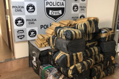 Diversos pacotes de droga apreendida