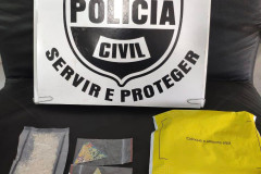 Drogas apreendidas 