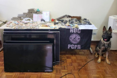 Cão da polícia ao lado de mesa com material apreendido