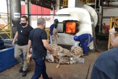Tabletes de droga sendo colocadas no incinerador