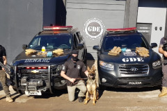 Policiais civis aparecem em frente à delegacia com cão policial e material apreendido