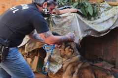 Policial civil com um dos cães resgatados