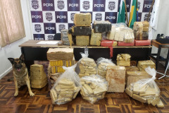 Cão farejador da polícia civil ao lado de diversos pacotes de droga no chão e sobre uma mesa