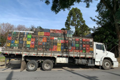 Caminhão carregado de frutas aparece na imagem