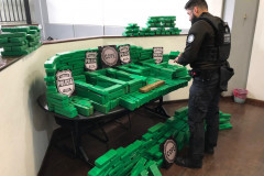 Policial organizando droga apreendida